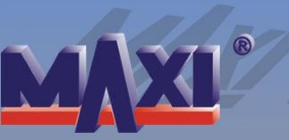 MAXI logo